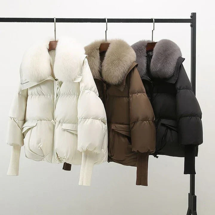 Cersel - Long Sleeve Zipper Jacket